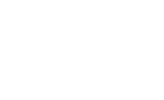 wireframe